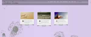 Barbara Burdon _ Intuitive Mentoring Website Design
