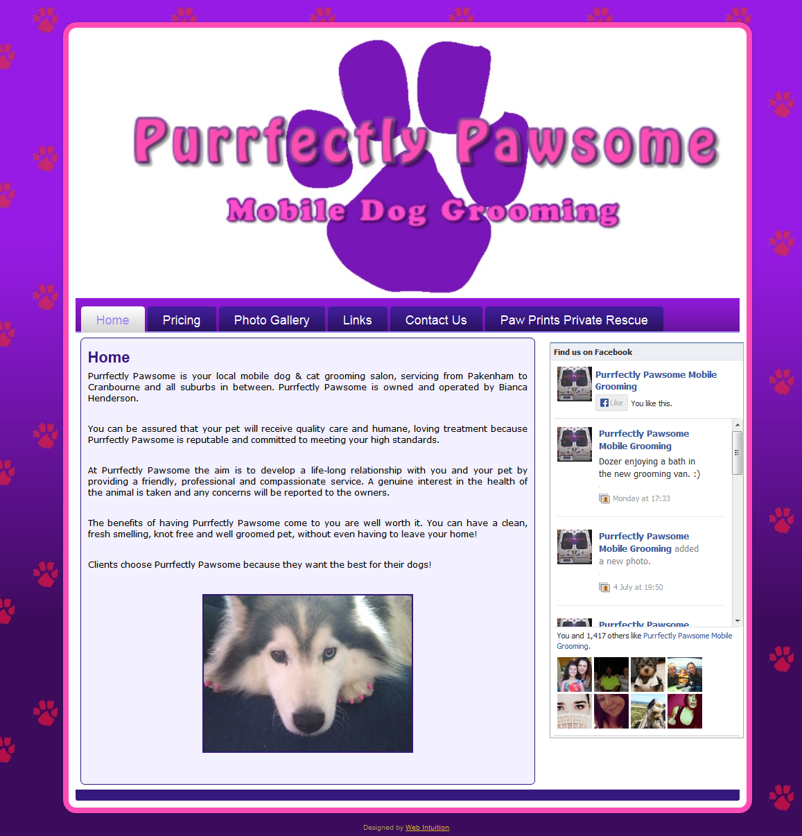 Purrfectly Pawsome – Pet Website Design