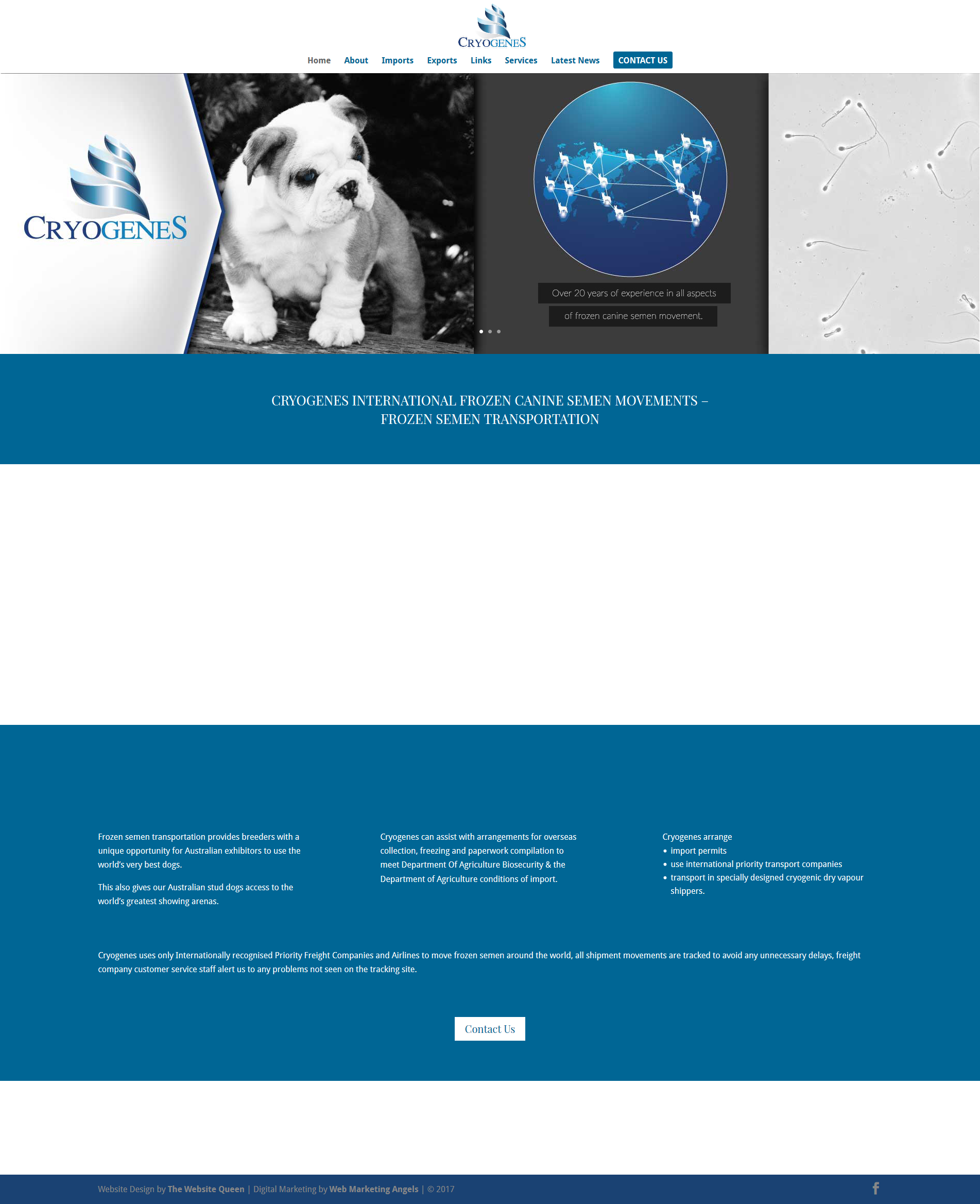 Dog Breeder Website Design 