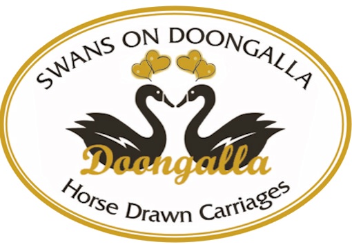 Melbourne Horse-Drawn Carriage Website – Swans on Doongalla