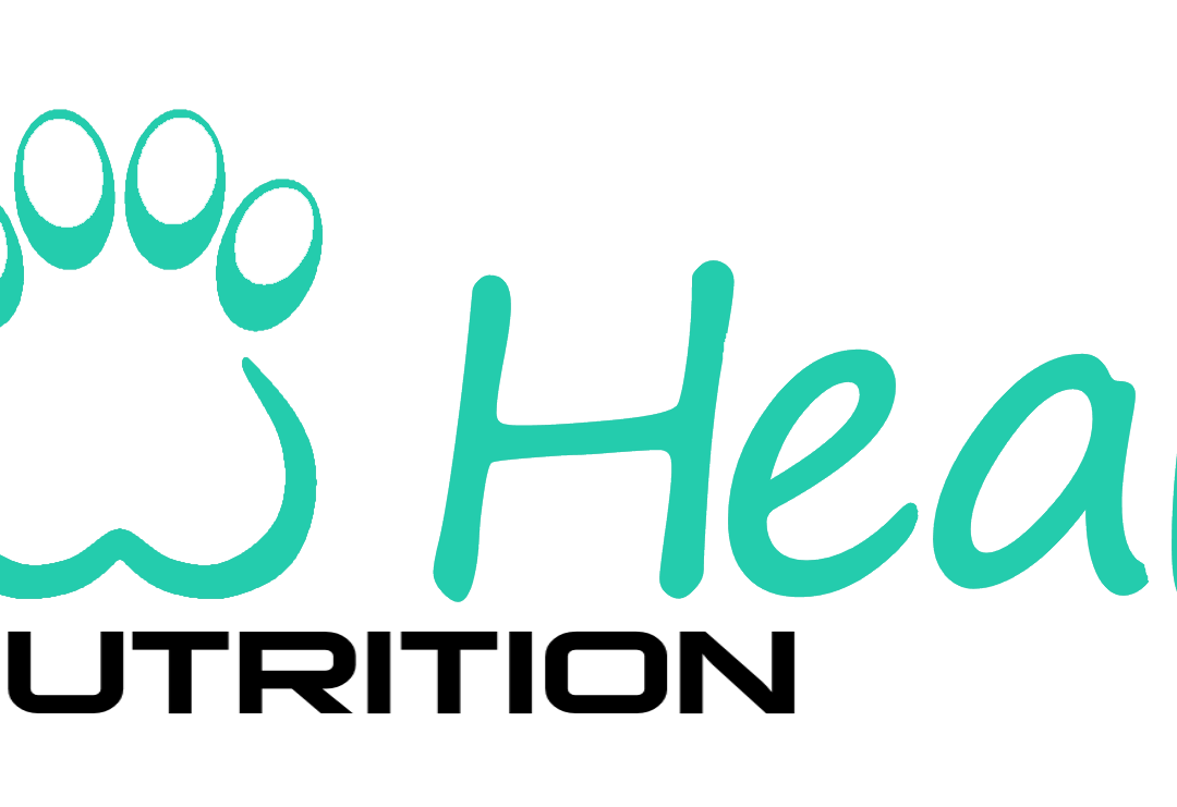 Paw Health – Pet Nutrition Website