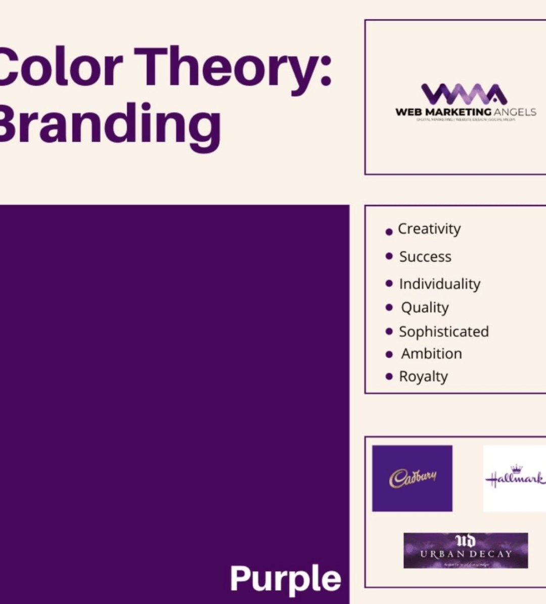 Colour Theory for Business Branding