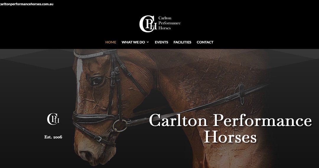 Latest Website – Carlton Performance Horses
