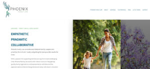 website build Phoenix Family Law