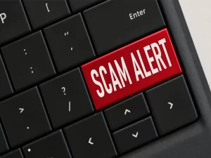 new scammer approaches online