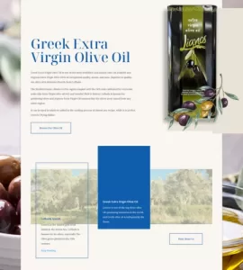 online food shop website build