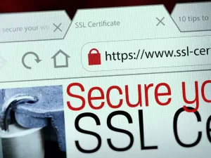 How to fix Broken Links