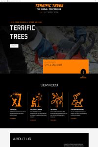 Web Design After