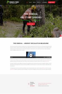 Web Design Before